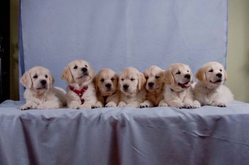 1257976396-b1-Precious_Hope